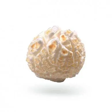 Зерно кукурузы - Caramel Popcorn